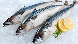 Pesce fresco, segnali veri