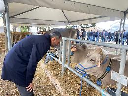 “Un programma per Tutta la Puglia”: il viaggio parte da Taranto per presentare gli obiettivi di governo regionale