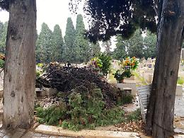 Alberi caduti per il maltempo: verifiche in corso e chiusa la pineta San Francesco. Le foto