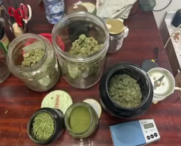 Coltiva marijuana in casa: denunciato un uomo di 36 anni. Le foto