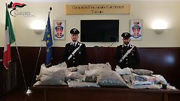 I cani antidroga Oscar e Rowena scoprono un deposito di droga: oltre 25 chili di stupefacenti