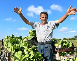 Patteggia 8 mesi l’automobilista che causò la morte di Giuseppe Corvino