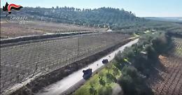 Operazione “Car Jackals”, smantellata una banda specializzata nei furti d’auto: quattro arresti 