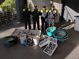 Sequestrati oltre 100 chili di pesce e 4,5 chilometri di attrezzature illegali. Il pesce donato agli animali dello Zoo di Fasano