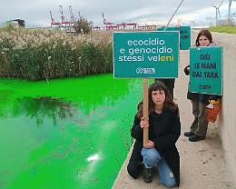 Extinction Rebellion colora di verde il fiume Tara: il video e le foto della protesta nazionale