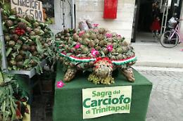 Ecco la tre giorni dedicata al Carciofo Violetto: al via la sedicesima edizione della Sagra. Il programma