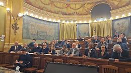 Olivicoltura, dal vertice con il Ministero dell'Agricoltura arrivano le prime rassicurazioni