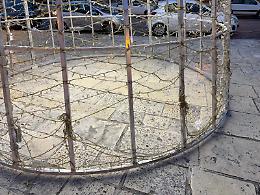 Alberi di Natale danneggiati più volte, il Sindaco: "Offesa all’intera comunità". Le foto