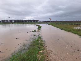 Nubifragi e trombe d’aria devastano le campagne: danni gravi tra Brindisi e Taranto
