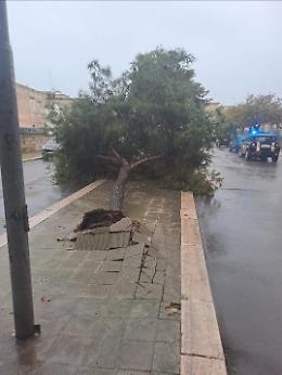 “Città senza manutenzione, alberi a rischio e maggioranza impegnata solo nelle verifiche politiche”