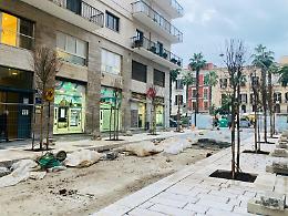 Intervento verde in via Argiro, partite le nuove piantumazioni