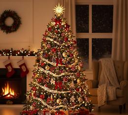 L’albero vero torna protagonista nelle case dei pugliesi