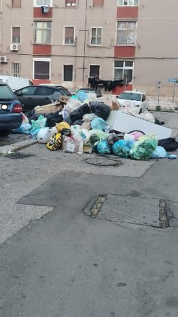 Igiene urbana sotto pressione, "Ecco tutto quello che non funziona"