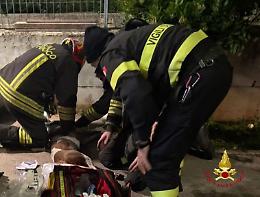 Incendio in un appartamento, muore un cane intrappolato nel fumo