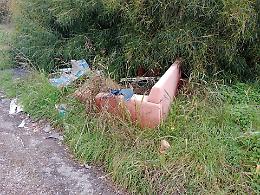 Via Fior di Papiro nel degrado, l&rsquo;appello del comitato al Comune. Le foto