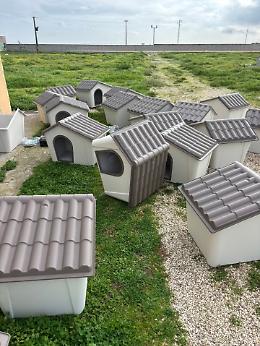 Nuove cucce al canile comunale, intervento per affrontare l&rsquo;inverno. Le foto