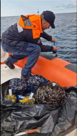 In un'autofficina si vendevano cozze senza requisiti igienici: maxi controllo. Le foto