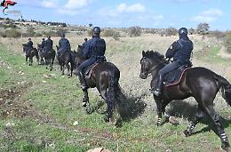 Sicurezza rafforzata per le feste, piano straordinario dei Carabinieri nella Bat