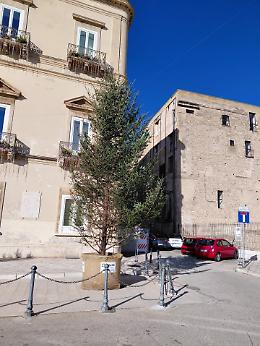 L'Albero di Natale dimenticato e senza luci, "Specchio del modo di amministrare"