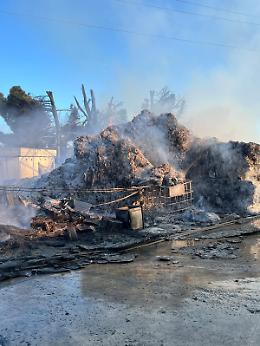 Incendio alla GM Service, Arpa Puglia attiva i controlli: aria sotto osservazione ma nessuna criticit&agrave; rilevante