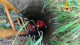 Cane precipita in un pozzo, salvato dai vigili del fuoco