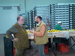 Palagiano su Canale 5, Melaverde racconta la stagione degli agrumi