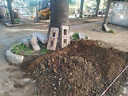 Lavori sul lungomare, il M5S denuncia degrado e chiede chiarezza sui controlli