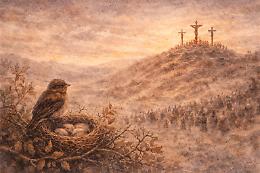 La leggenda del pettirosso