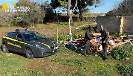 Rifiuti bruciati in un terreno agricolo, imprenditore denunciato nel Salento