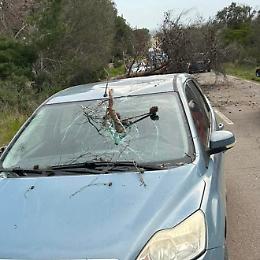 Albero colpisce un'auto sulla Maruggio-Manduria, strada chiusa per sicurezza. Le foto