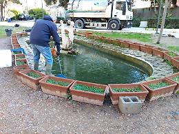 In pericolo le tartarughe di Villa Peripato per i coriandoli nella fontana