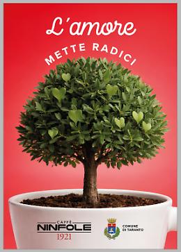 Lecci e carrubi nel giardino della Basile con "L'Amore mette Radici"