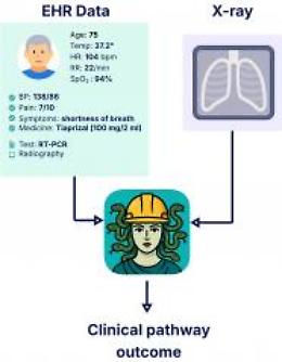 UniBa sviluppa Medusa, l&rsquo;Intelligenza artificiale che integra dati clinici per prevedere l&rsquo;evoluzione dei pazienti