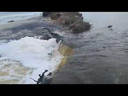 Le Cesine, mareggiate sfondano il cordone dunale. Allarme per la Palude Pantano Grande. Il video