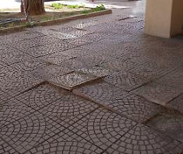 Radici dei pini sollevano i marciapiedi, appello del parroco al Comune