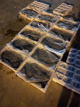 Sequestrati 60 kg di bianchetto sulla SS 106, multa da 4.000 euro