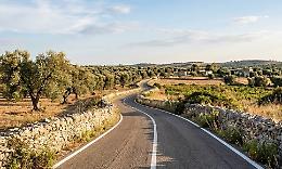 Pioggia di banconote sulla strada, automobilisti si fermano a raccoglierle