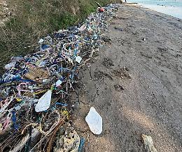 Pulizia del Mar Piccolo, volontari al lavoro sulla spiaggetta di parco Cimino