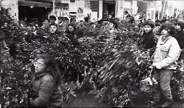 San Giuseppe accende la provincia: tra tradizioni, fal&ograve; e tavolate, festa tra devozione e rinvii per il maltempo