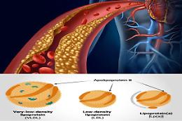 L&rsquo;importanza di un percorso integrato tra esami di laboratorio e cardiologo