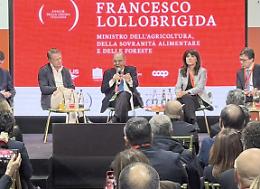 Elezioni anticipate, Lollobrigida frena: &ldquo;Non risultano richieste nemmeno dall&rsquo;opposizione&rdquo;