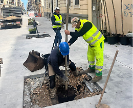 Via Manzoni cambia volto: al via piantumazioni e nuova mobilit&agrave;. Le foto