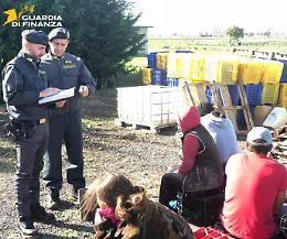 Immigrazione, maxi inchiesta: arresti per 11 indagati. Nei guai anche ex consiglieri comunali di Bari