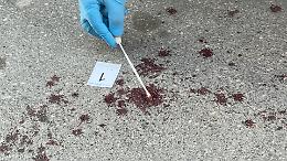 Tracce di sangue all&rsquo;alba tra via Gorizia e via Principe Amedeo, &egrave; giallo. Le foto