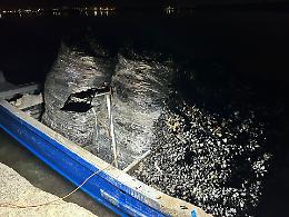 Cozze pericolose per la salute nel Mar Piccolo, sequestrati 50 quintali
