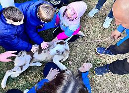 Con &ldquo;Oltre il blu&rdquo; una mattinata nella natura per bambini e famiglie 