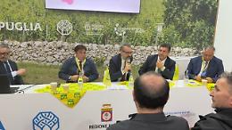 Vino pugliese, export raddoppiato in 10 anni: il settore cambia volto