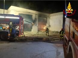 Incendio nella notte, distrutti ape calessino per il turismo