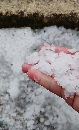 Grandine devastante ad Andria, Coldiretti: &ldquo;41 eventi estremi nel 2026&rdquo;