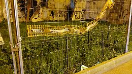 Ipogei e parcheggi, &ldquo;Senza servizi il commercio rischia di scomparire&rdquo;. Le foto